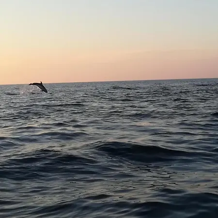 公寓 Olivia Valkanela App 1 *