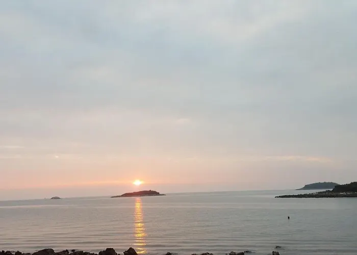 Olivia Valkanela App 1 * Vrsar