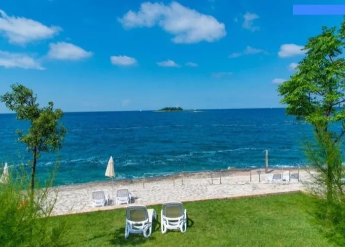 Olivia Valkanela App 1 Vrsar