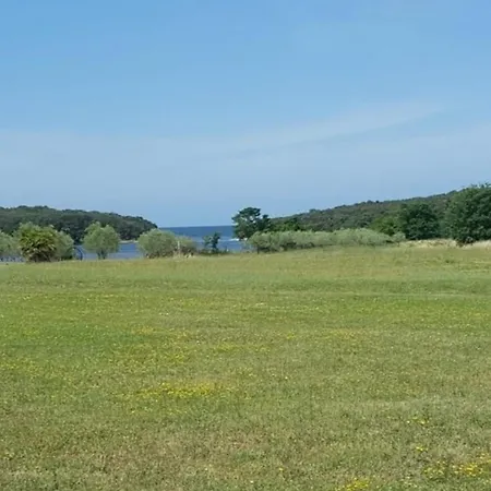 Olivia Valkanela App 1 *